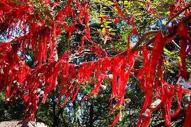 Steam Deck官方晒巨型掌机模型 将于TGS上展出