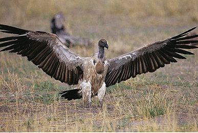 《战地风云2042》3.2超大更新来袭！兵种系统归来